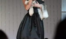 哈麻豆,探寻神秘豆类的传奇故事